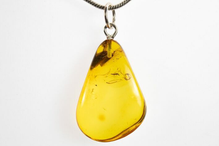 Polished Baltic Amber Pendant (Necklace) - Contains Fly! #328467